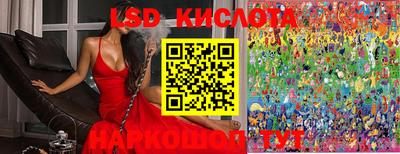 spice Кимры