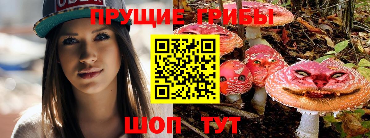 Псилоцибиновые грибы MAGIC MUSHROOMS  Вход с VPN  цена   Котельники 