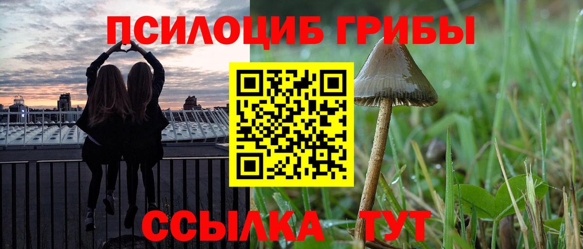 Альфа ПВП Котельники